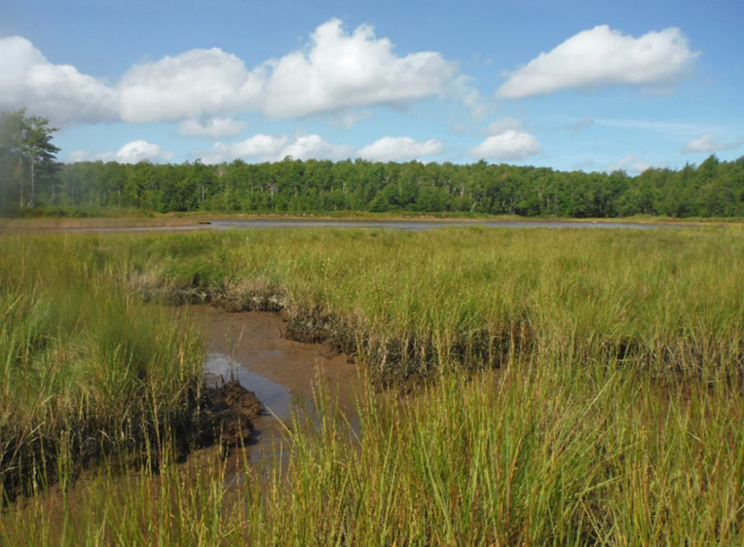 Current Projects - Shediac Bay Watershed Association