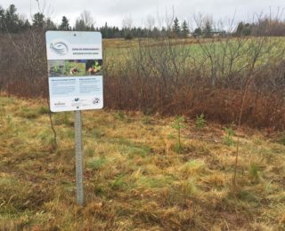 Streambank restoration