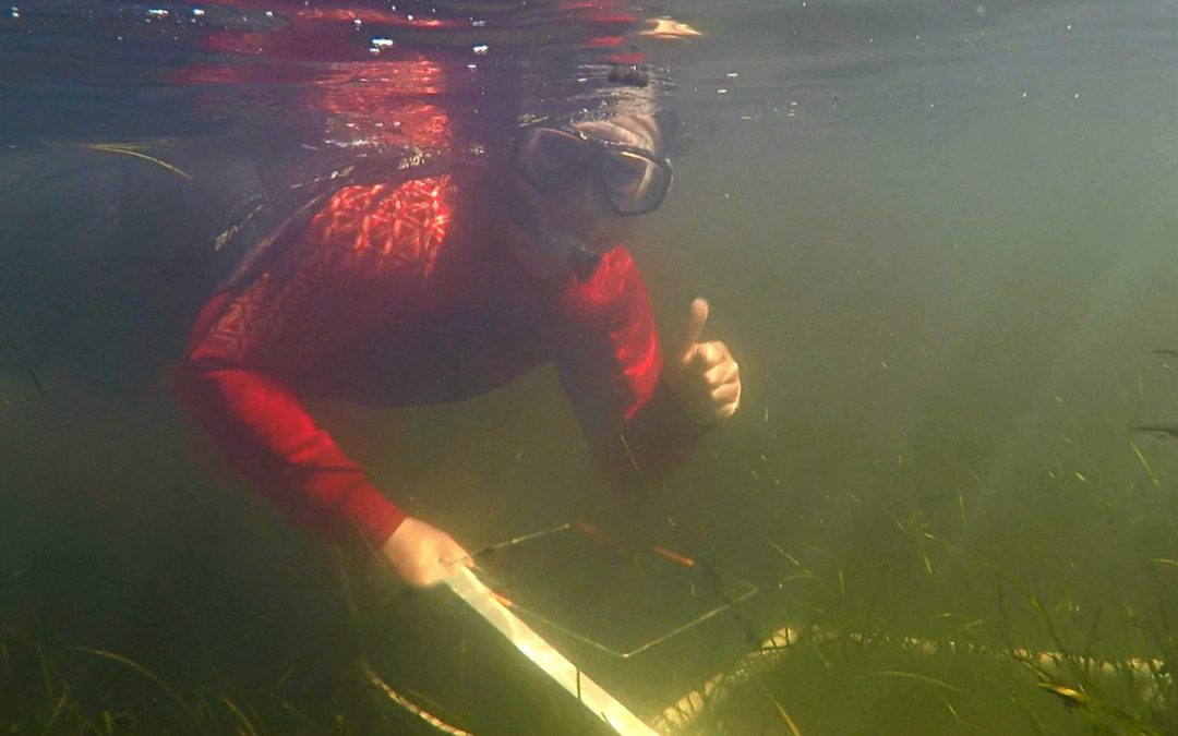 Eelgrass-Monitoring