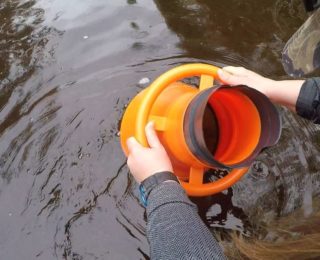 L’inventaire des moules d’eau douce se poursuit