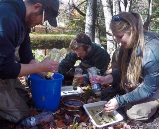 Macro-invertebrate sampling