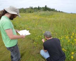 Notre équipe de terrain a suivi une formation avec l’organisme WESP-AC (Wetland Ecosystem Services Protocol – Atlantic Canada).