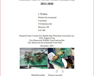 Rapport annuel 2020 sur la surveillance du crabe vert